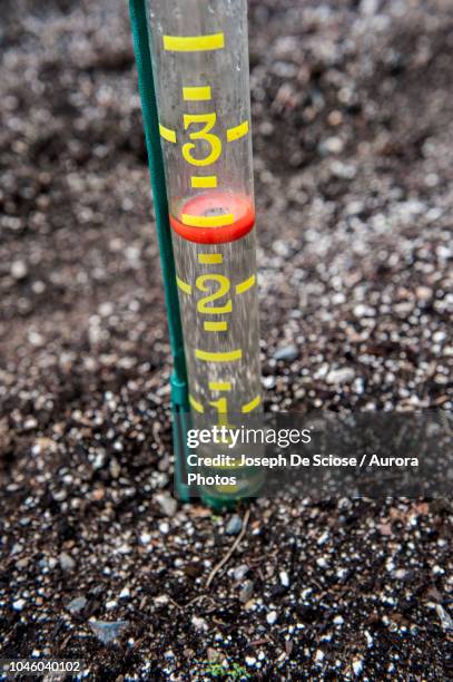 close-up of rain gauge in garden soil, halifax, nova¬ýscotia, canada - pluviômetro - fotografias e filmes do acervo
