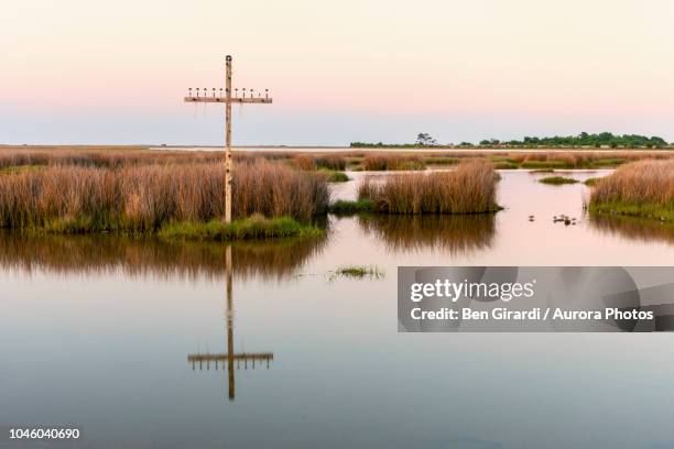 cross standing in marsh of chesapeake bay, poquoson, virginia, united states - poquoson stock pictures, royalty-free photos & images