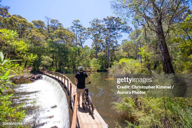 mountain biking on the pines trails, margaret river, western australia, australia - margaret river australia stock pictures, royalty-free photos & images