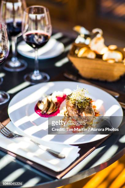filet mignon meal on plate - mendoza stockfoto's en -beelden