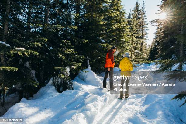 sun shining over couple¬ýsnowshoeing in snow-covered forest, whistler, british columbia, canada - british columbia winter stock pictures, royalty-free photos & images