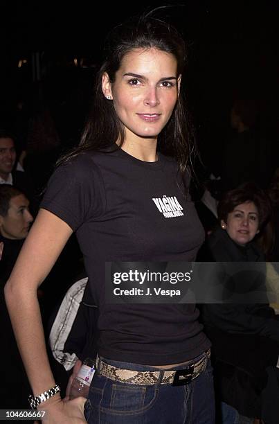 Angie Harmon during Fashion Week - Luca Luca Fall/Winter 2001 Collection at Bryant Park in New York City, New York, United States.