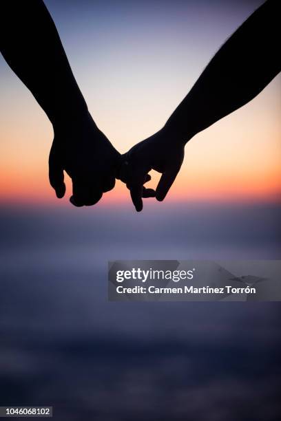 couple hand in hand at sunset. - gay love ストックフォトと画像
