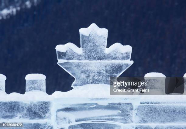 view of ice sculptures. - isskulptur bildbanksfoton och bilder