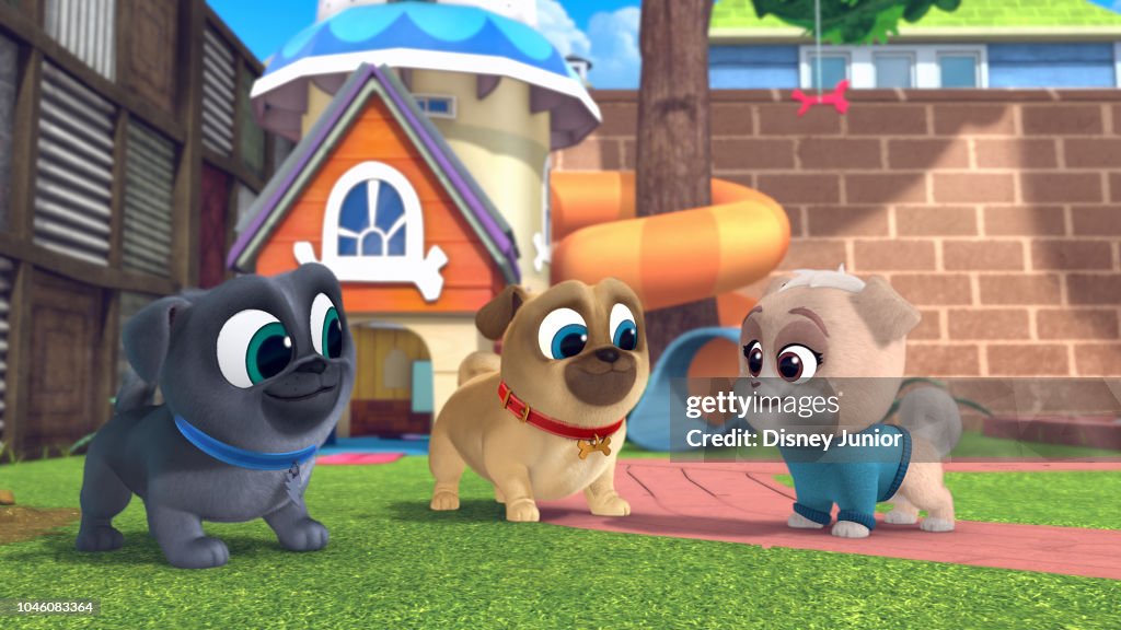 PALS - PALS -