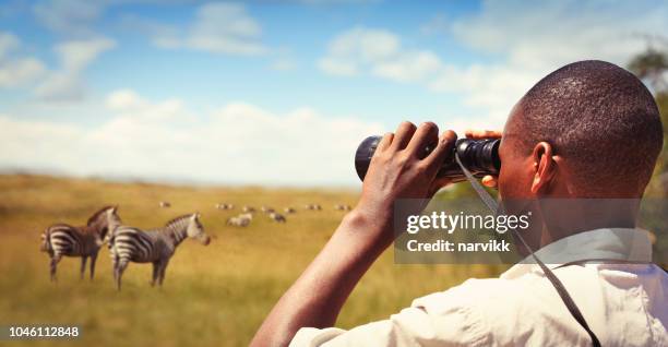 man with binoculars watching wild animals - africa safari watching stock pictures, royalty-free photos & images