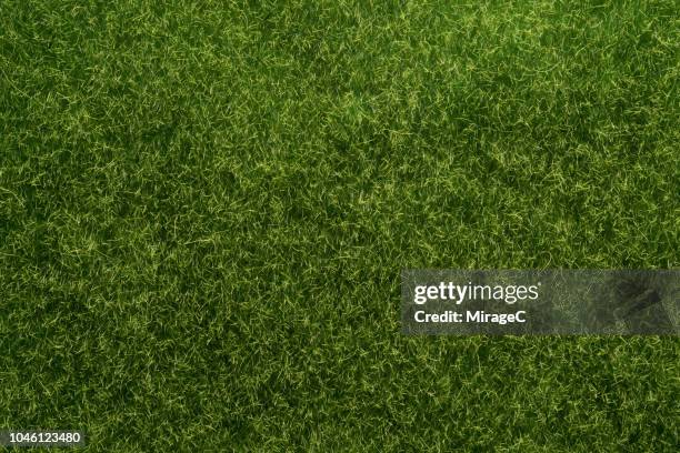 artificial grass texture - grass texture fotografías e imágenes de stock