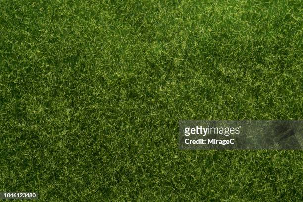 artificial grass texture - soccer field above stock pictures, royalty-free photos & images