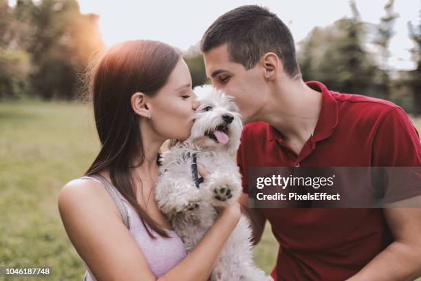 he's a couple's best friend - cute girlfriends stock pictures, royalty-free photos & images