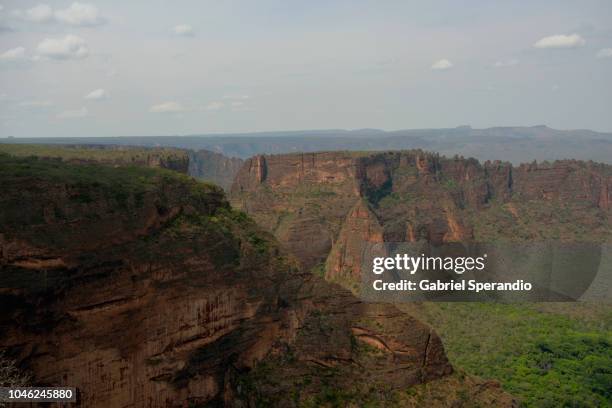 chapada dos guimarães - chapada dos guimarães imagens e fotografias de stock