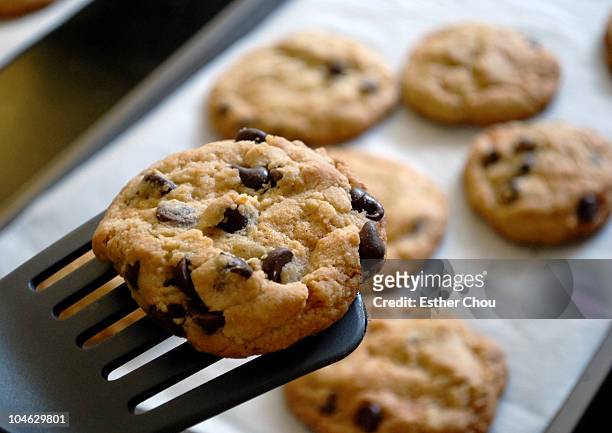 chocolate chip cookies - cookie stock pictures, royalty-free photos & images