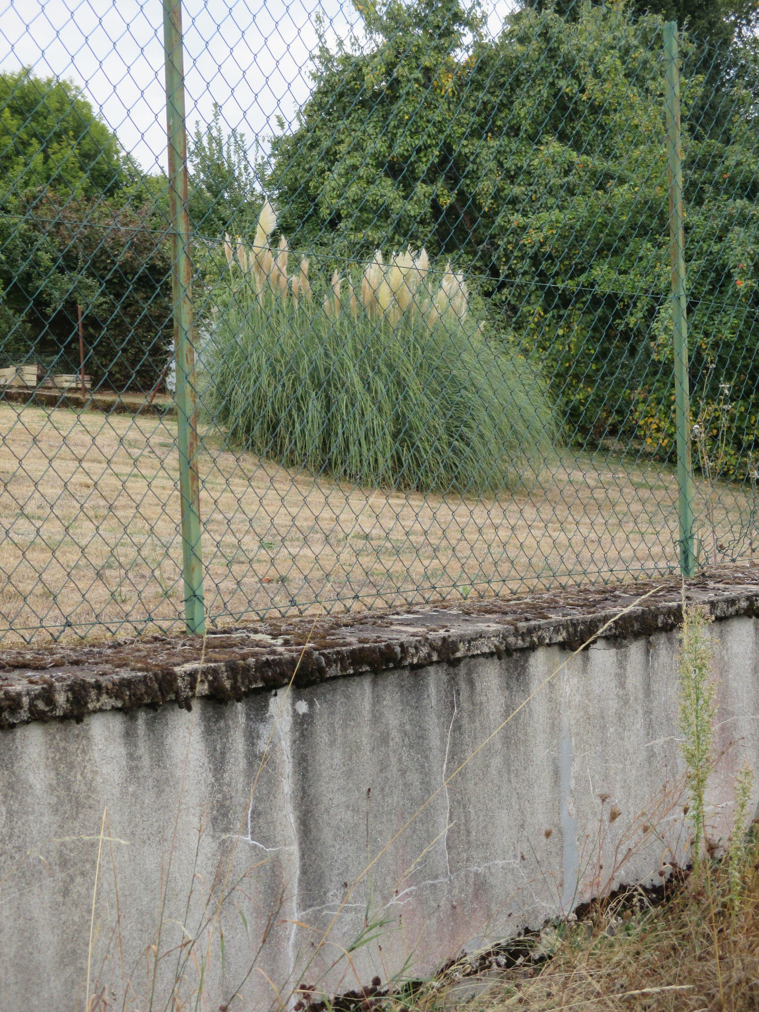cloture jardin