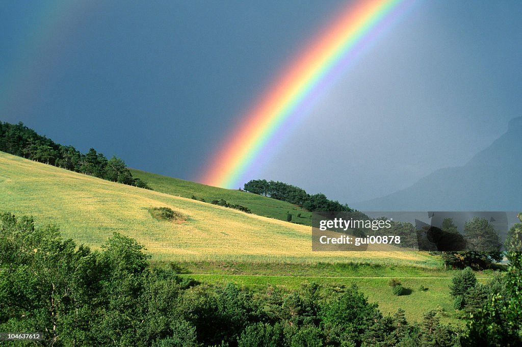 The end of a rainbow with a field in the foreground