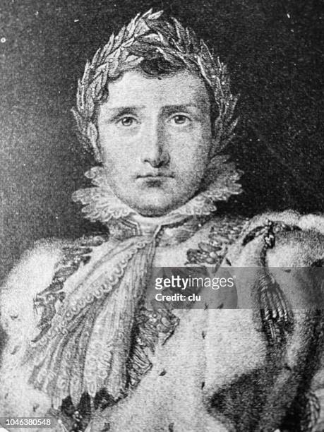 portrait of napoleon with laurel wreath - royalty stock illustrations stock illustrations