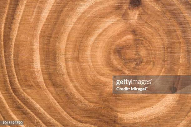 tree ring backdrop - tree ring stock pictures, royalty-free photos & images