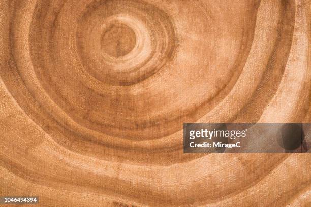 tree ring backdrop - log texture stock-fotos und bilder