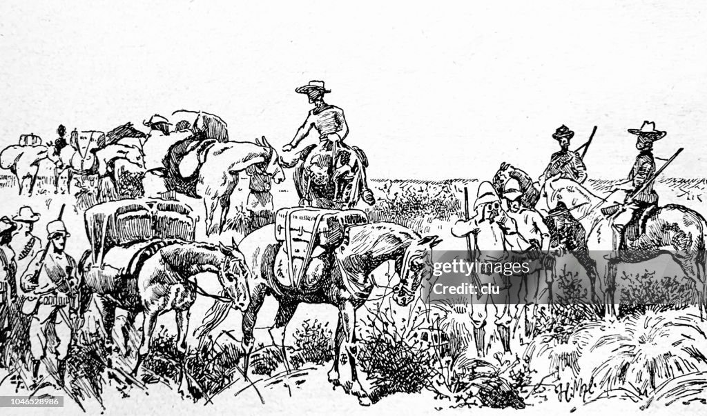 Researchers on an expedition through the porcupine grass desert