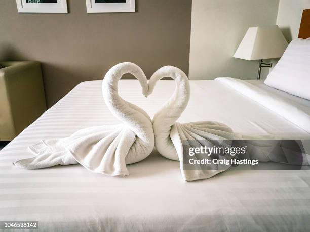 shot of hotel room towels in swan shapes, towel art, maid service - towel stockfoto's en -beelden