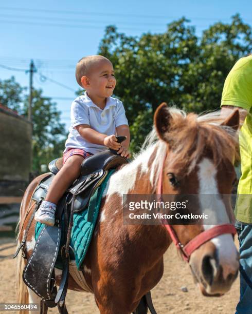 young boy taking a pony ride - pony stock pictures, royalty-free photos & images