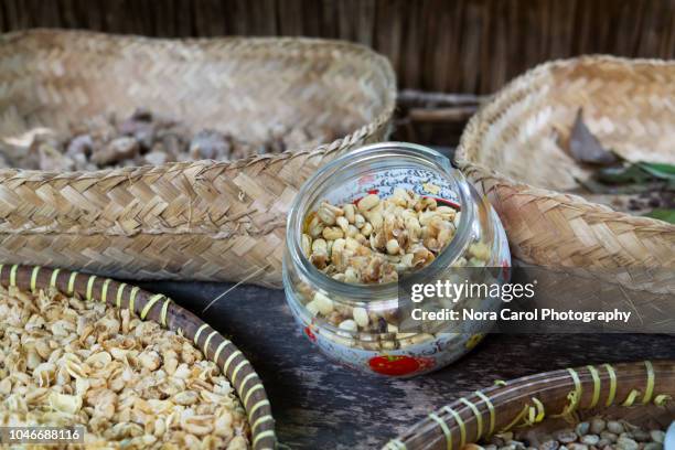 luwak coffee bean - palm civet stock pictures, royalty-free photos & images