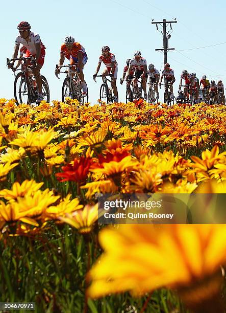 The peloton heads from Melbourne to Geelong during the Elite Men's Road Race on day five of the UCI Road World Championships on October 3, 2010 in...