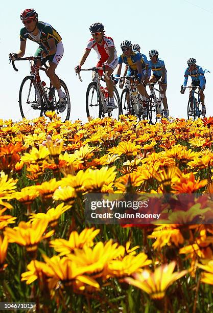 The peloton heads from Melbourne to Geelong during the Elite Men's Road Race on day five of the UCI Road World Championships on October 3, 2010 in...