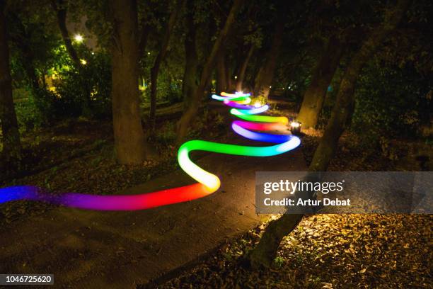 colorful light trail following the way between trees at night. - plotting a path photos et images de collection