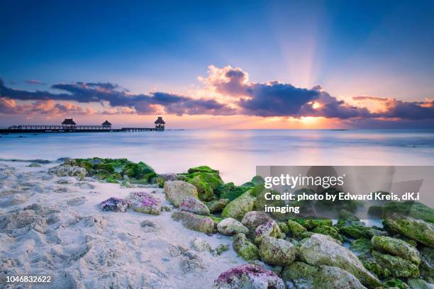 crepuscular - playa del carmen stock-fotos und bilder