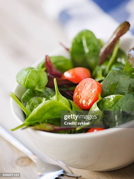 frischer salat - leicht stock-fotos und bilder