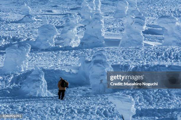 walking up the hill with snow rime in zao, yamagata, japan - yamagata stock-fotos und bilder