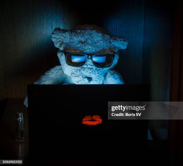 fancy bear hacker - sunglasses disguise stock pictures, royalty-free photos & images