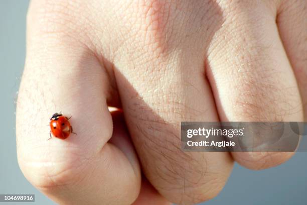May Bug Hand 401 Lady Bug Hand Stock Photos, High-Res Pictures, and Images - Getty ...