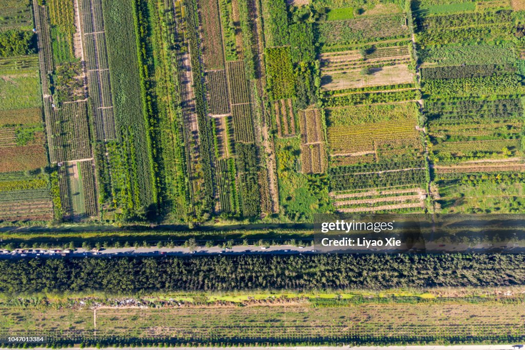 Aerial view of fields