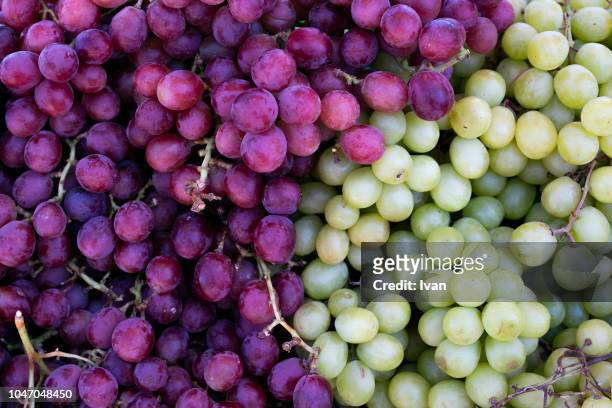 full frame texture, group of fruit, white and green grape - shiraz stock pictures, royalty-free photos & images