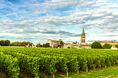 Vineyards of Saint Emilion, Bordeaux Vineyards in France