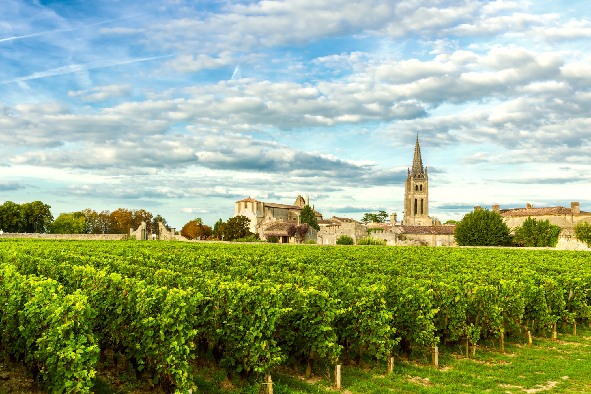 bordeaux outdoor event
