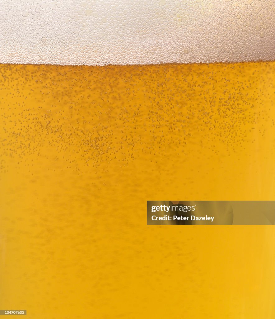 Glass of lager beer with copy space