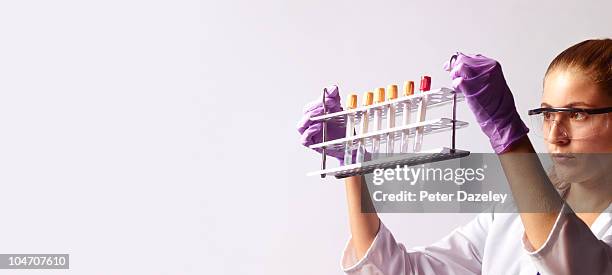 stem cell scientist with rack of test tubes - stem cell stock pictures, royalty-free photos & images