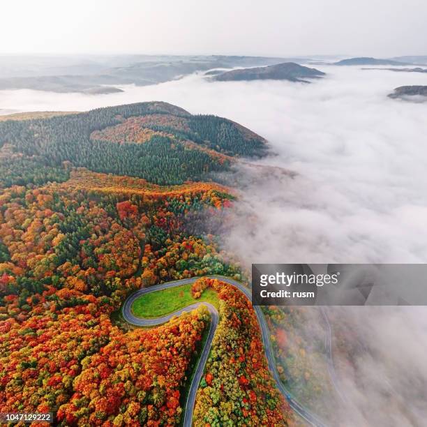Aerial view of autumn forest road go down into morning fog. Mosele Valley, Germany.