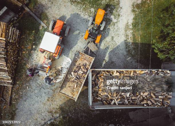 sawing wood for winter - sawing stock pictures, royalty-free photos & images