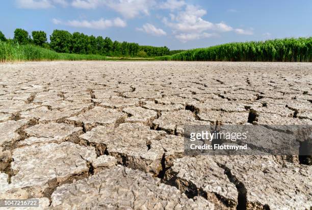 dry lake in spaarndam, north holland - drought stock pictures, royalty-free photos & images