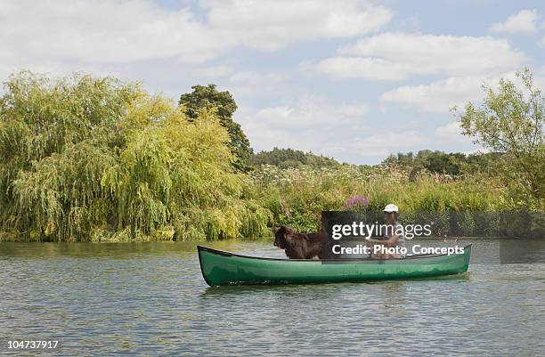 woman in canoe with dog - small boat stock pictures, royalty-free photos & images