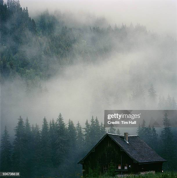 Forest Hall Photos and Premium High Res Pictures Getty Images