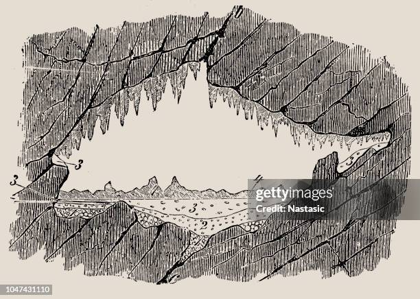 lombrives höhle - auster stock-grafiken, -clipart, -cartoons und -symbole