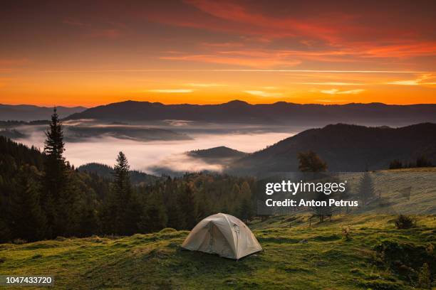 tent at dawn in the misty mountains - anton petrus panorama of beautiful sunrise bildbanksfoton och bilder