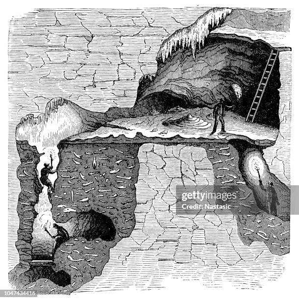 sectional view of a bone cavern showing debris of animal bones. william buckland (1784-1856) english geologist and clergyman, considered the remains to be evidence of the biblical flood - fish bone diagram stock illustrations