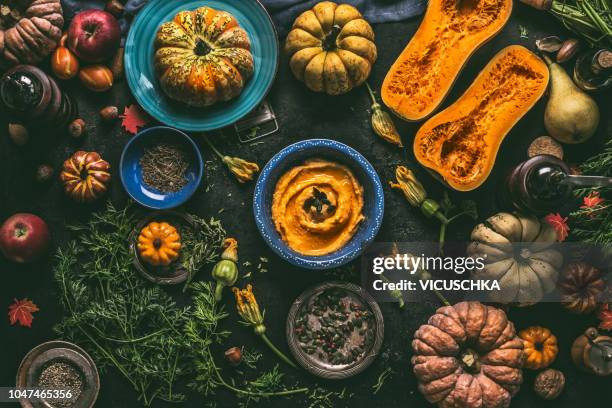 pumpkin hummus in blue bowl and various colorful autumn ingredients, top view - herbst kollektion stock-fotos und bilder