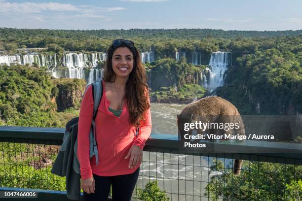 female tourist posing with¬ýsouth american coati nasua nasua, parana, brazil - foz do iguaçu stock pictures, royalty-free photos & images