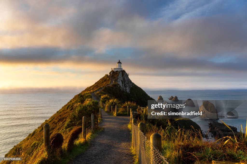 Nugget Point Lighthouse At Dawn