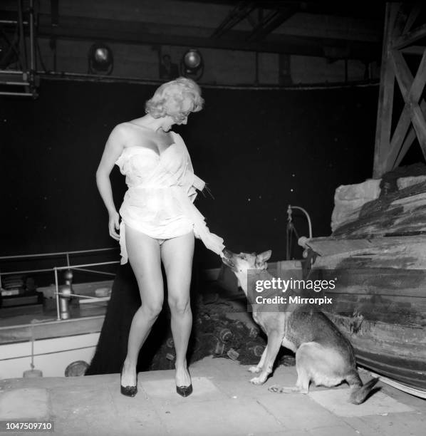 Actress Liz Fraser seen here having a little trouble with one of her co-stars on set at Twickenham Studios were she is making 'Double Bunk'. October...